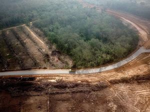 Fenomena Warga Mendadak Kaya karena Proyek Tol Fenomena Warga Mendadak Kaya karena Proyek Tol