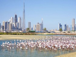 5 Hidden Gems di Dubai
