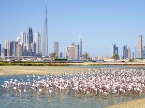 Harga Rumah Mewah di Dubai Melejit 50%, Kota Lain Gimana? Harga Rumah Mewah di Dubai Melejit 50%, Kota Lain Gimana?