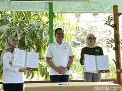 Otorita IKN Bangun Koridor Satwa Jamin Habitat Hewan Endemik di Kaltim