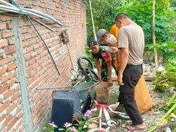 Mayat Bayi Perempuan Dalam Kardus di Pinrang Bikin Geger, Polisi Selidiki