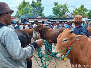 Pecah Celengan Ala Warga Sampang untuk Biaya Anak Masuk Sekolah