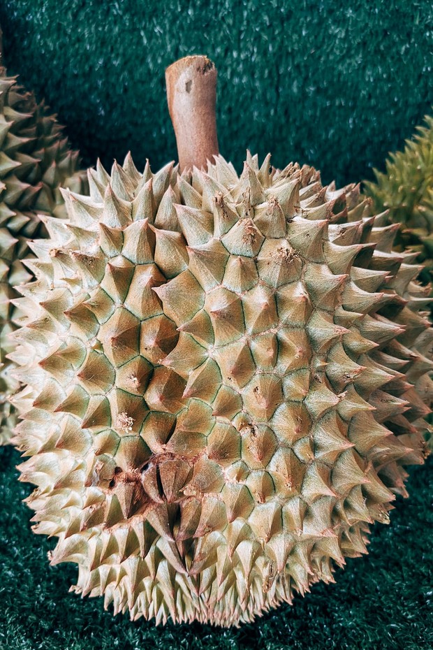 Perhatikan tangkai durian/Foto: Unsplash.com/Markus Winkler Untuk mengetahui durian yang enak maka perhatikan tangkai durian.