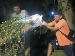 Hujan Angin di Gianyar, Pohon Tumbang Timpa Pura Gunung Merta