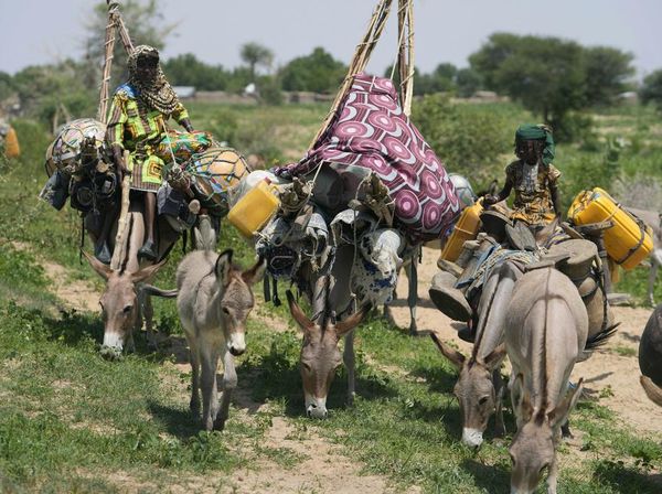 Potret Kehidupan Warga Nigeria, Bepergian Tunggangi Keledai
