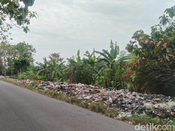 Buang Sampah Sembarangan di Majalengka Siap-siap Kena Sanksi!