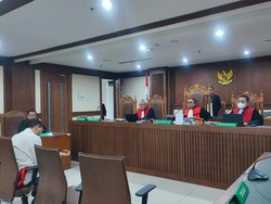 Rudolf Divonis 20 Tahun Bui, Ini Hal Memberatkan dan Meringankan