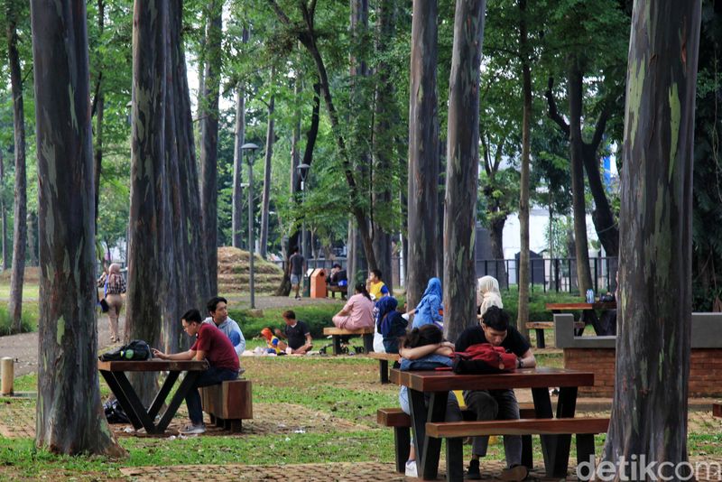 Tebet Eco Park meraih penghargaan dari Design Singapore Council. Begini suasana taman yang direvitalisasi di era Gubernur DKI Jakarta Anies Baswedan tersebut.