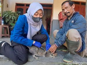 Puluhan Anjing dan Kucing di Banyuwangi Divaksin Rabies Puluhan Anjing dan Kucing di Banyuwangi Divaksin Rabies