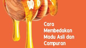 Infografis: Cara Membedakan Madu Asli dan Campuran