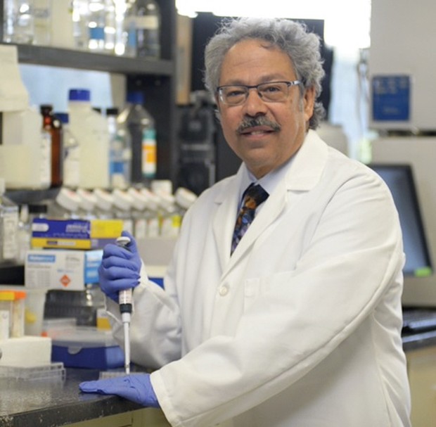 Dr. Mitchell Cairo yang Menanangani Sel Sabit Hanif Mouehla/Foto: wmchealth.org Dr. Mitchell Cairo yang Menanangani Sel Sabit Hanif Mouehla/Foto: wmchealth.org