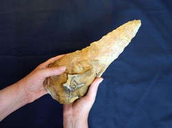 Arkeolog Temukan Kapak Tangan Raksasa Berusia 300 Ribu Tahun