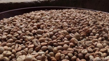 5 Fakta Kopi Liberika, Biji Langka Indonesia yang Kaya Cita Rasa