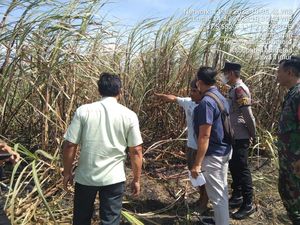 Kakek di Magetan Terbakar saat Bersih-bersih Lahan Tebu Kakek di Magetan Terbakar saat Bersih-bersih Lahan Tebu