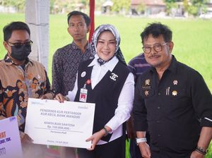 Mentan Canangkan Gerakan Pengamanan Produksi Padi di Kabupaten Klaten