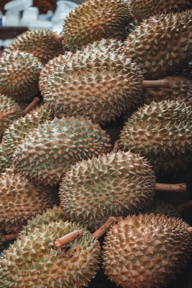 Pukul durian untuk mendengar bunyinya/Foto: Unsplash.com/Calvin. Untuk mengetahui durian enak dan matang ialah dengan memukul durian.