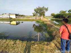 457 Hektare Tambak di Kota Pasuruan Bakal Hilang, Ini Penyebabnya