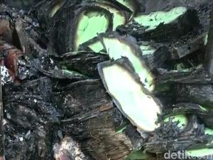 6.000 Sertifikat PTSL Hangus dalam Kebakaran Kantor BPN Brebes