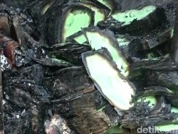 6.000 Sertifikat PTSL Hangus dalam Kebakaran Kantor BPN Brebes