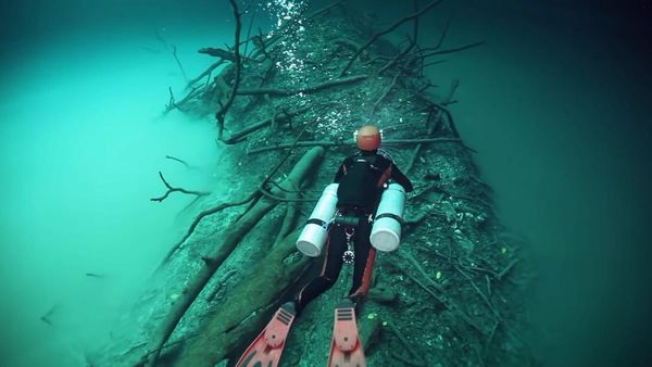 Ada Sungai di Bawah Laut, Mirip yang Disebutkan Al Quran