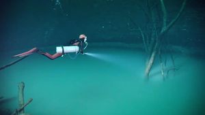 Jelajah Sungai di Bawah Laut yang Tercantum Dalam Al-Quran