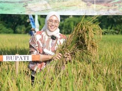 Produksi Beras Purwakarta Surplus, Optimalisasi Sumber Daya Air