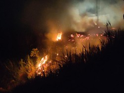 Gudang Bahan Kompos Seluas 100 Meter Persegi di Kota Kediri Terbakar