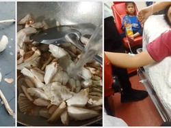 Tragis! Keluarga Ini Keracunan Usai Masak Jamur Liar dari Depan Rumah