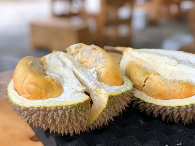 Jangan membeli durian dengan kulit terbuka/Foto: Unsplash.com/Jim Teo Untuk mendapatkan durian yang enak, jangan memilih durian dengan kulit terbuka.