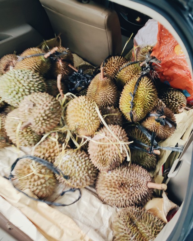 Mencoba Sebelum Membeli/Foto: Unsplash.com/Devana Jalalludin Sebelum beli durian, coba dulu.