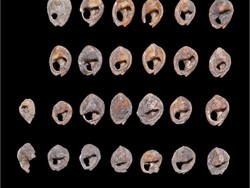 DNA Manusia Ditemukan di Perhiasan Usia 20.000 Tahun, Punya Siapa?