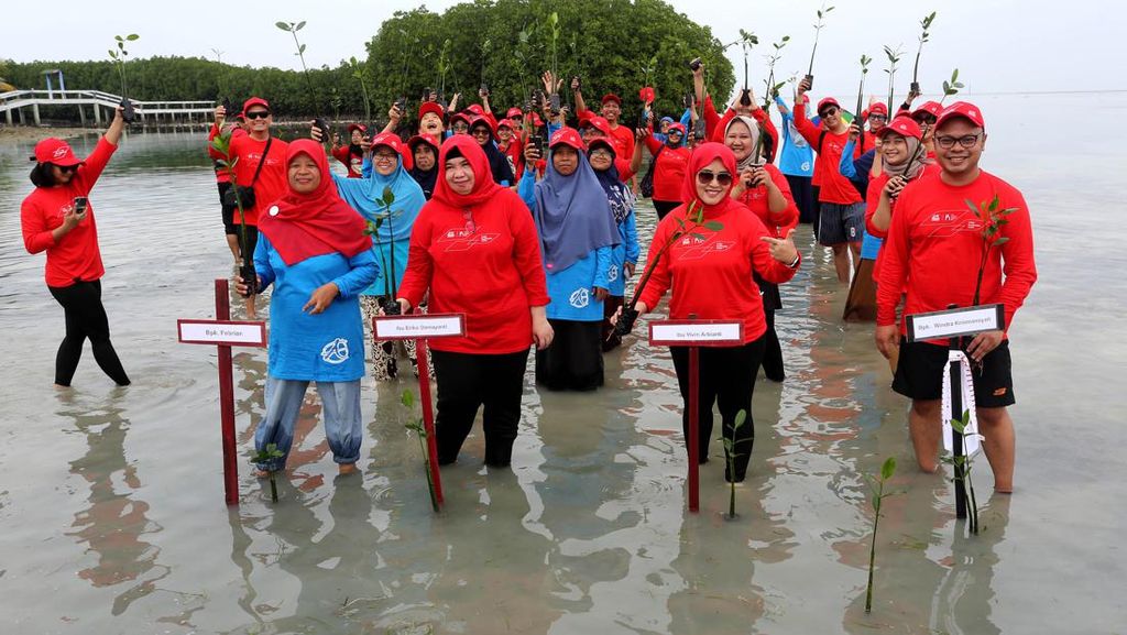 Tanam Mangrove Demi Menjaga Lingkungan Seimbang Tanam Mangrove Demi Menjaga Lingkungan Seimbang