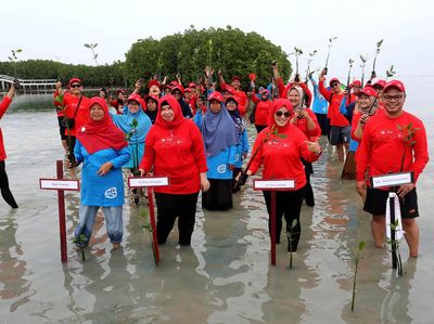 Tanam Mangrove Demi Menjaga Lingkungan Seimbang