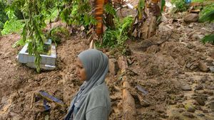 TPU di Padang Dihantam Longsor, Sejumlah Mayat Keluar dari Kuburan