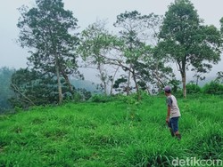 Kampung Siluman di Lereng Merapi Musnah Disapu Erupsi, Kini Habitat Monyet