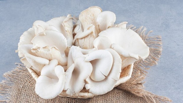 Rekomendasi bahan vegan untuk pola makan nabati