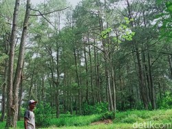 Melacak Jejak Kampung Siluman Klaten, Desa yang Hancur Disapu Erupsi Merapi