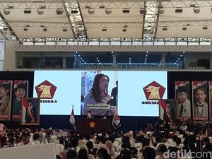 Gerindra Ungkap Video Serangan ke Prabowo di TikTok, Pilih Balas Positif