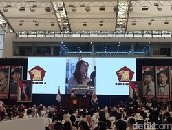 Gerindra Ungkap Video Serangan ke Prabowo di TikTok, Pilih Balas Positif