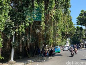 Papan Penunjuk Jalan di Wastukencana Bandung Tertutup Rimbun Pohon