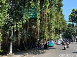 Papan Penunjuk Jalan di Wastukencana Bandung Tertutup Rimbun Pohon