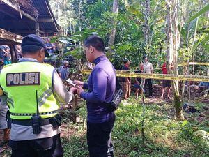 Depresi gegara Batu Ginjal, Pria Karangasem Tewas Tergantung di Pohon Gamal Depresi gegara Batu Ginjal, Pria Karangasem Tewas Tergantung di Pohon Gamal