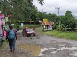 Warga Sinjai Tanam Pohon Pisang di Jalan Provinsi gegara Rusak Tak Diperbaiki
