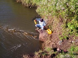 Dam Cocrong Dibuka Atasi Limbah Lindi Cemari Sawah dan Sungai Banyuwangi