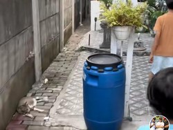 Viral Rumah Cluster Ditembok Gegara Tanah Sengketa di Bekasi