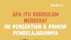 Infografis: Apa Itu Kurikulum Merdeka? Ini Pengertian dan Prinsipnya