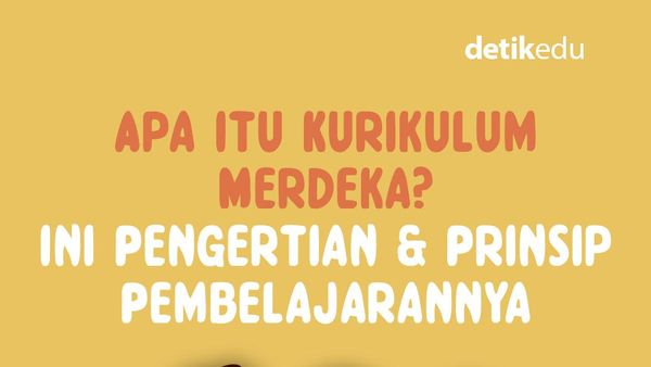 Infografis: Apa Itu Kurikulum Merdeka? Ini Pengertian dan Prinsipnya