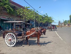 Delman di Jembrana Terancam Punah