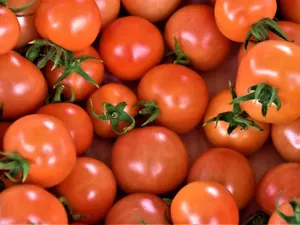 5 Makanan Tinggi Antioksidan Ini Bisa Turunkan Risiko Kanker 5 Makanan Tinggi Antioksidan Ini Bisa Turunkan Risiko Kanker