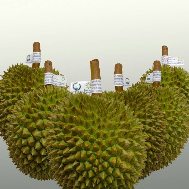 Durian kanyao/Foto: Instagram.com/indofresh.fruit Durian kanyao termasuk durian termahal.